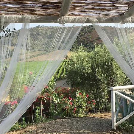 Vakantieboerderij Antica Tindari Patti