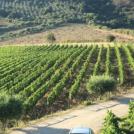 Vakantieboerderij Antica Tindari *