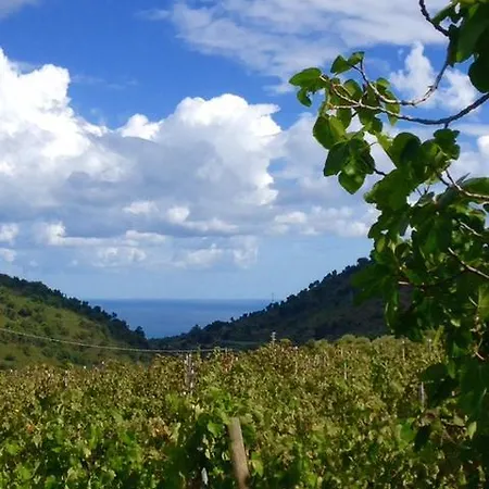 Antica Tindari