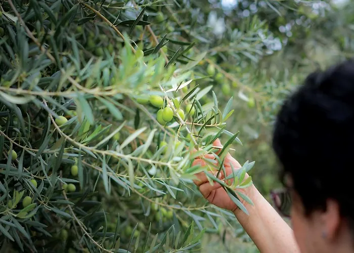 Alloggio per agriturismo Antica Tindari