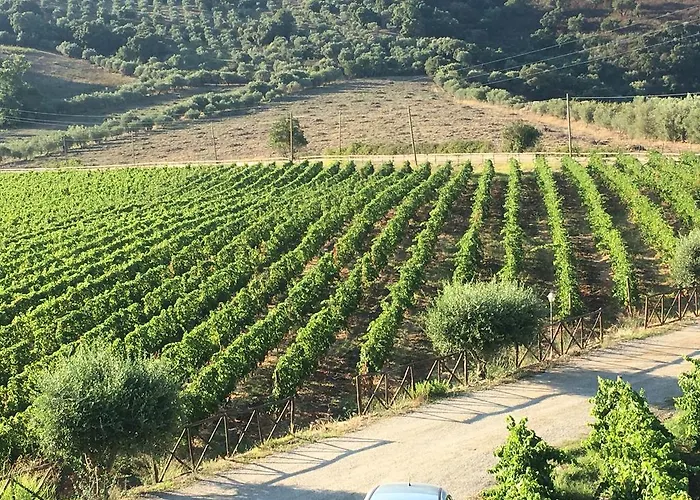 Alloggio per agriturismo Antica Tindari *